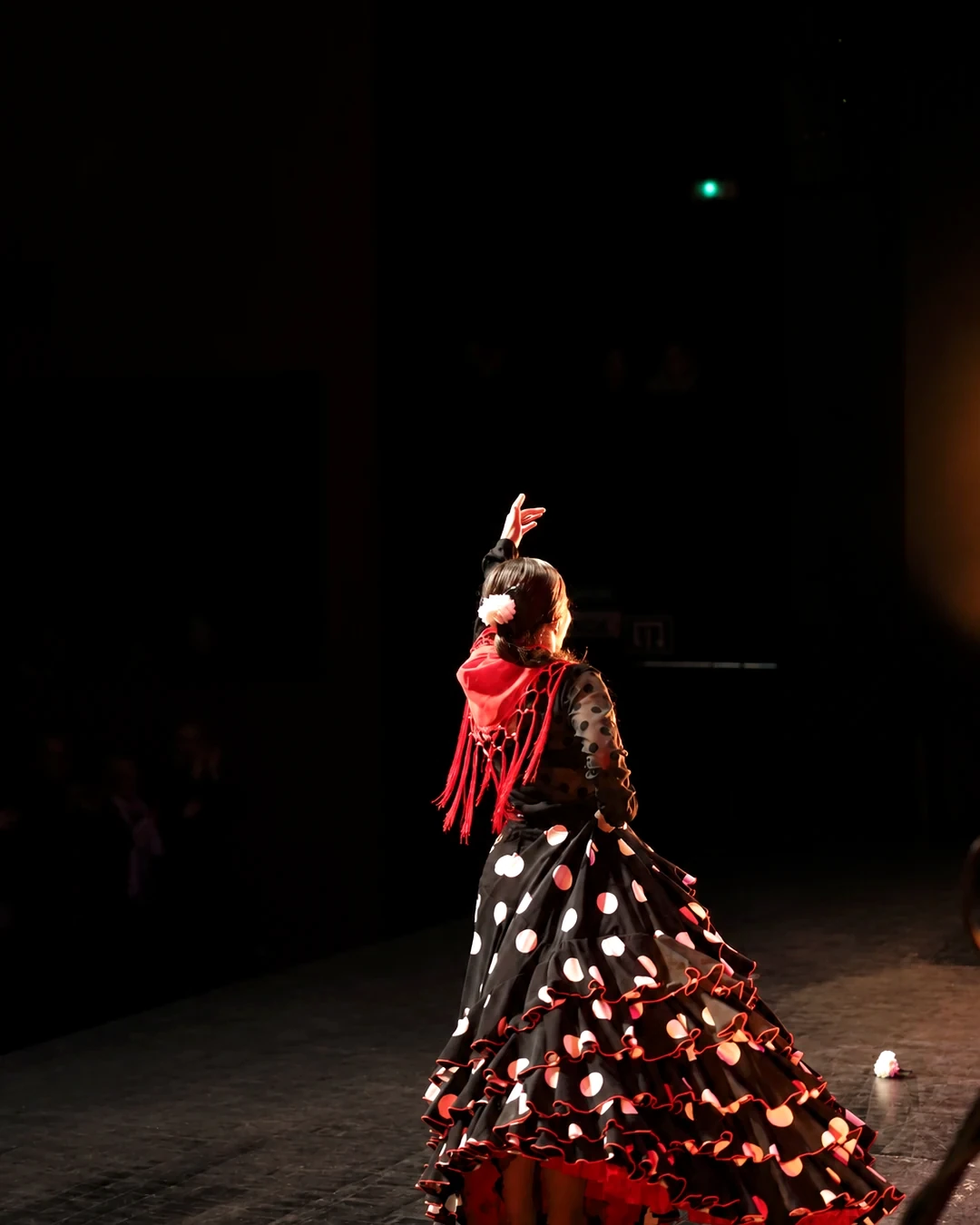 EVENTOS-DANZA — fotografía
